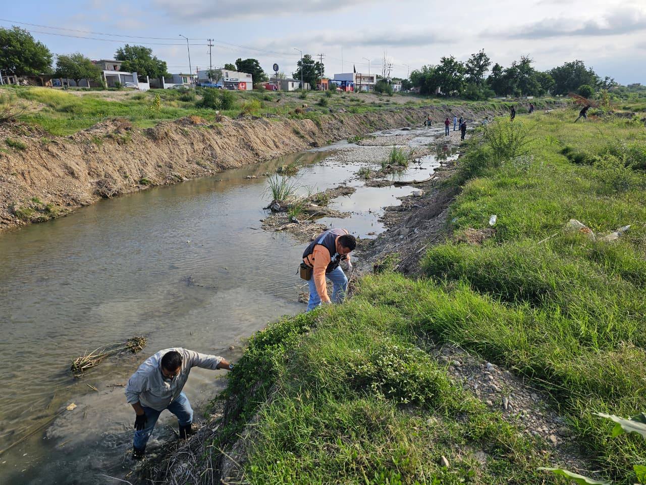 PROTECCIÓN CIVIL Y ECOLOGÍA MUNICIPAL IMPULSAN ACCIONES PREVENTIVAS Y LIMPIEZA DE ARROYOS EN ACUÑA