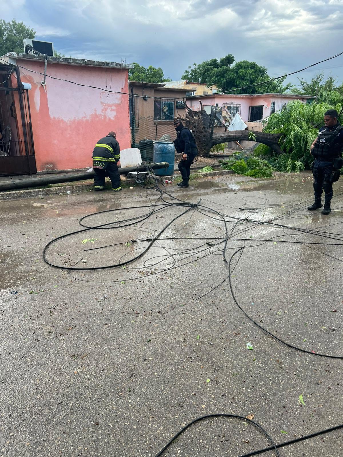 ATENDIEN AUTORIDADES REPORTES DE CAÍDA DE ARBOLES Y ANUNCIOS