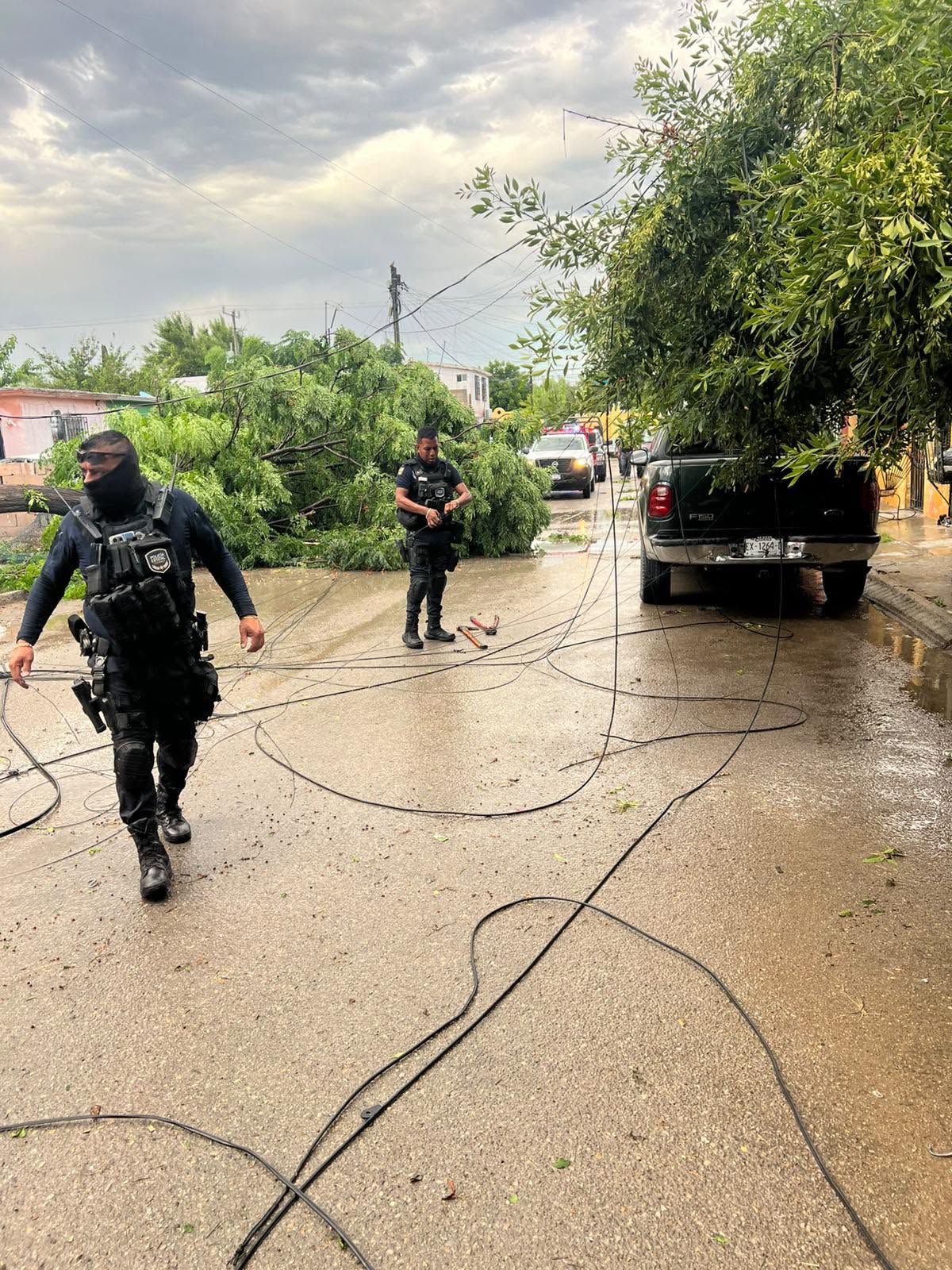 ATENDIEN AUTORIDADES REPORTES DE CAÍDA DE ARBOLES Y ANUNCIOS