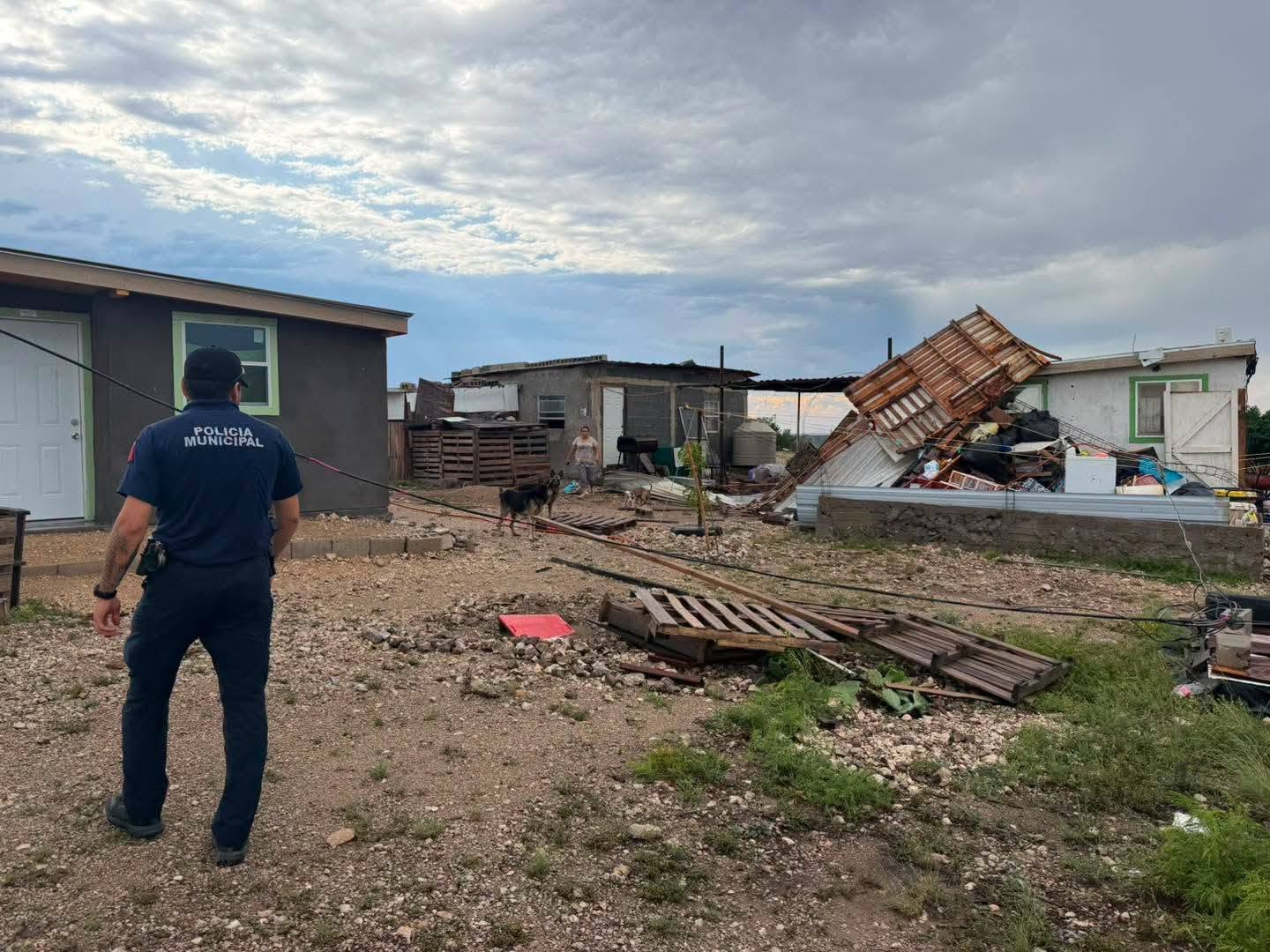 ATENDIEN AUTORIDADES REPORTES DE CAÍDA DE ARBOLES Y ANUNCIOS