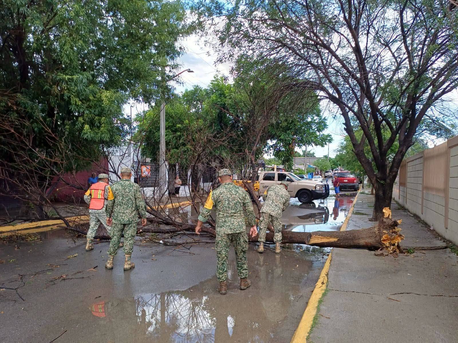 ATENDIEN AUTORIDADES REPORTES DE CAÍDA DE ARBOLES Y ANUNCIOS