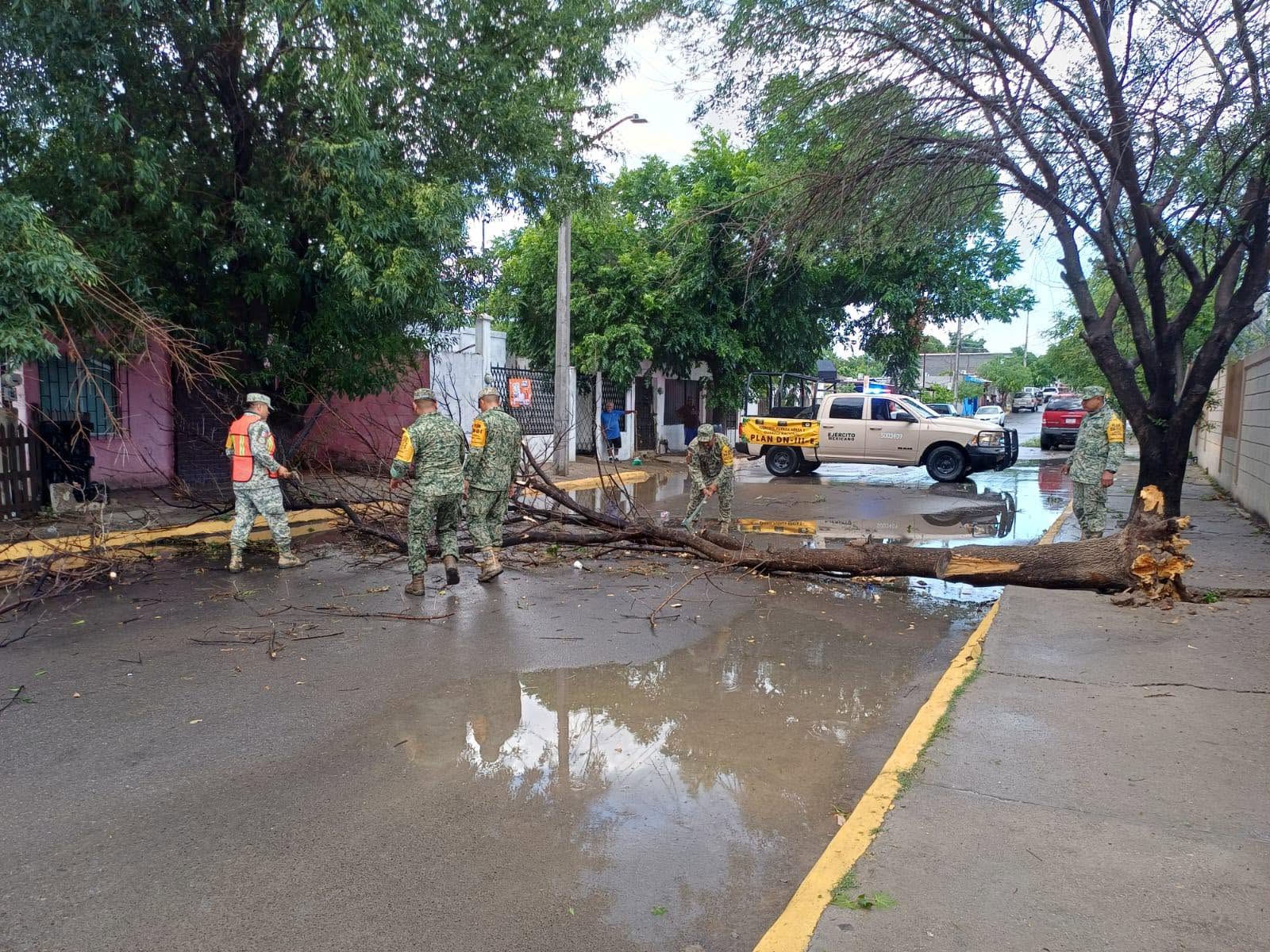 ATENDIEN AUTORIDADES REPORTES DE CAÍDA DE ARBOLES Y ANUNCIOS