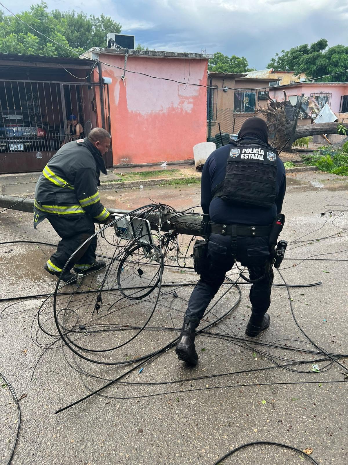 ATENDIEN AUTORIDADES REPORTES DE CAÍDA DE ARBOLES Y ANUNCIOS