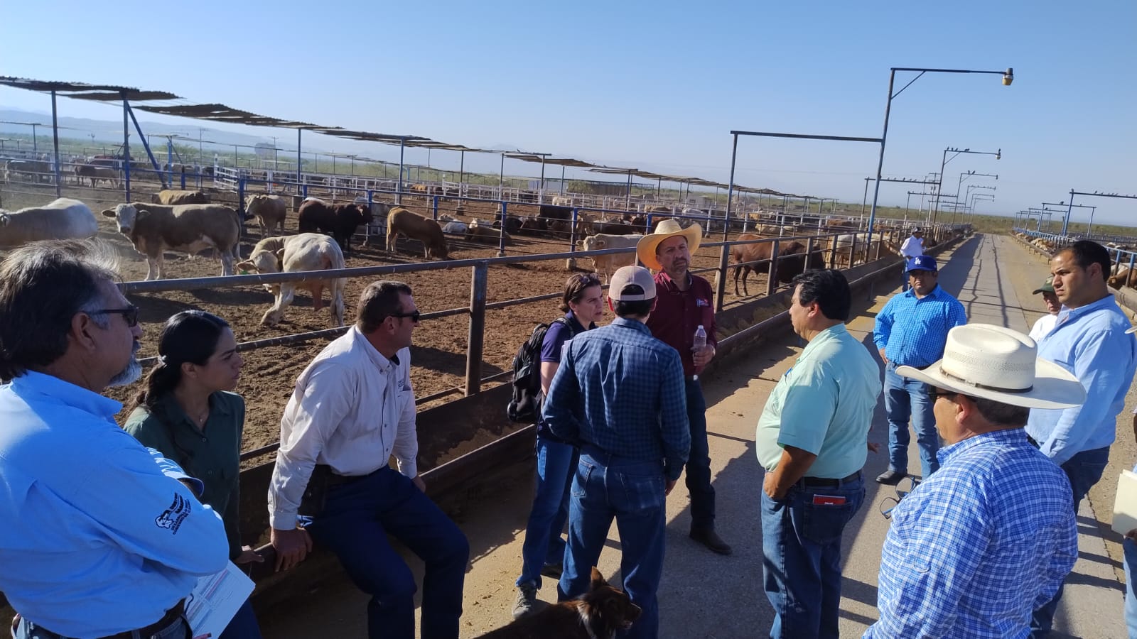COAHUILA FORTALECE COOPERACIÓN INTERNACIONAL EN MATERIA DE SANIDAD ANIMAL CON VISITA DE INSPECCIÓN TÉCNICA