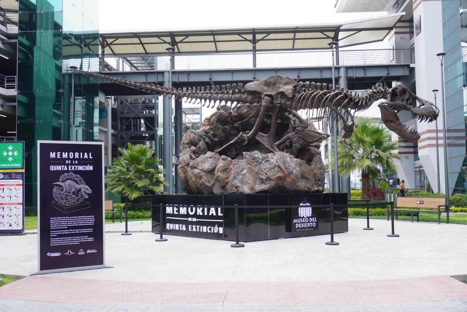COAHUILA FORTALECE SU PROYECCIÓN NACIONAL E INTERNACIONAL CON LA INAUGURACIÓN DE LA EXPOSICIÓN "PASAJEROS DEL TIEMPO" EN EL AIFA