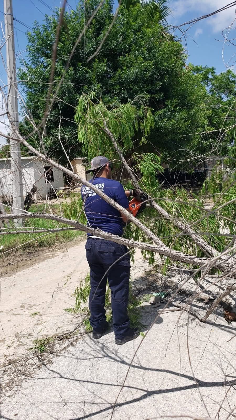 Cortes de agua y electricidad dejó la tormenta que cayó en Acuña