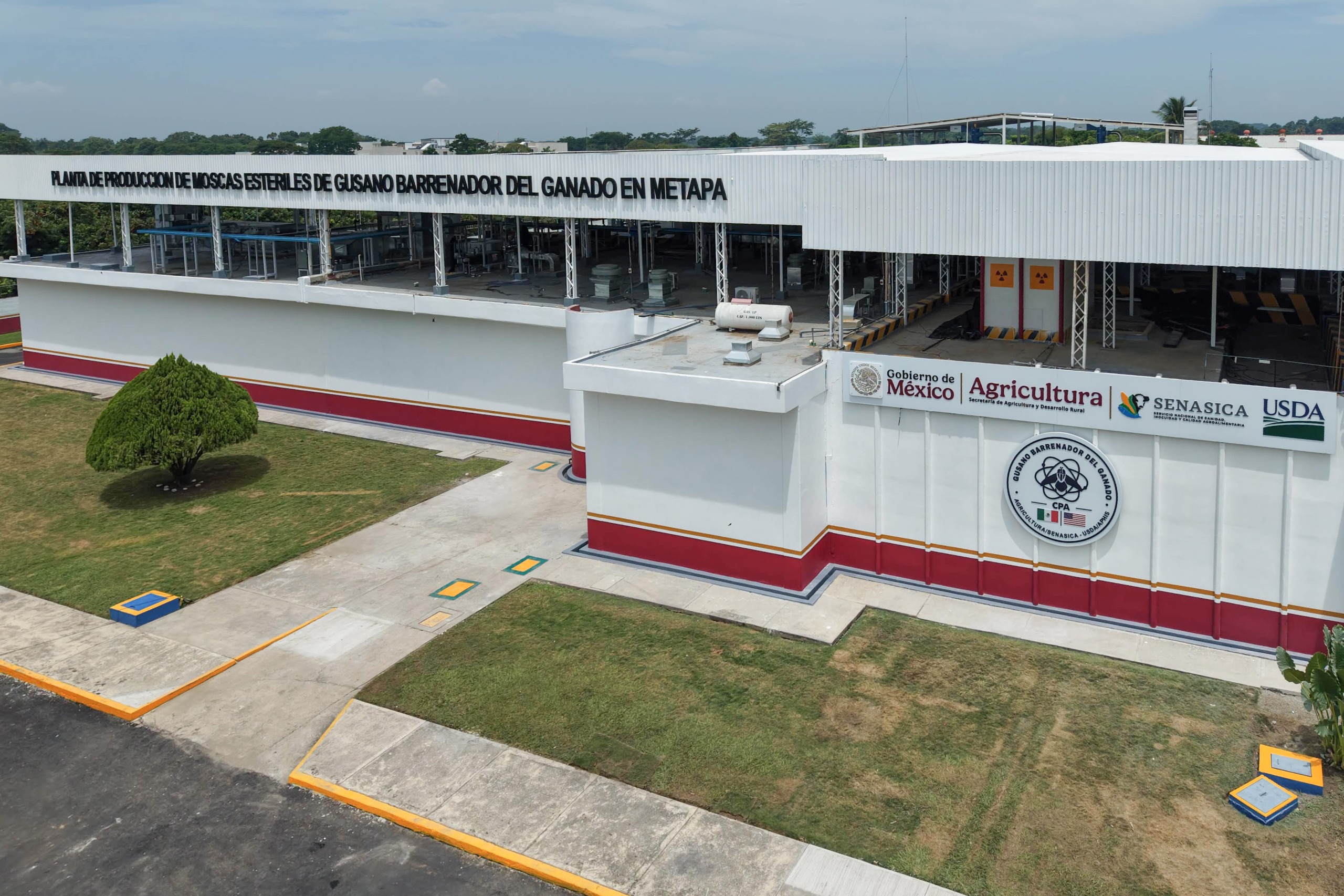 PRESIDENTA CLAUDIA SHEINBAUM INAUGURA PLANTA DE PRODUCCIÓN DE MOSCAS ESTÉRILES DEL GUSANO BARRENADOR DEL GANADO EN METAPA DE DOMÍNGUEZ, CHIAPAS