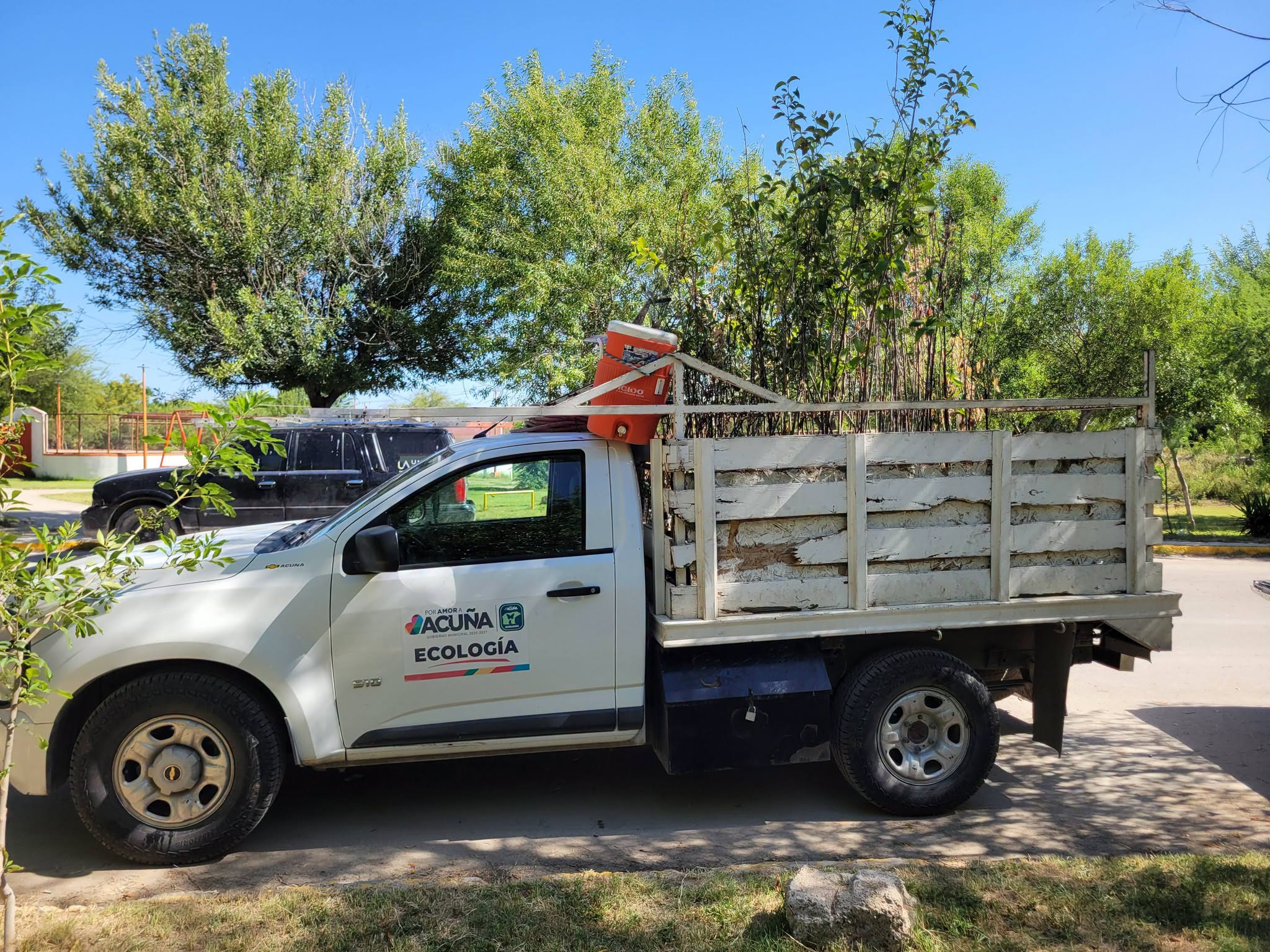 Arranca en Acuña campaña de reforestación y reciclaje
