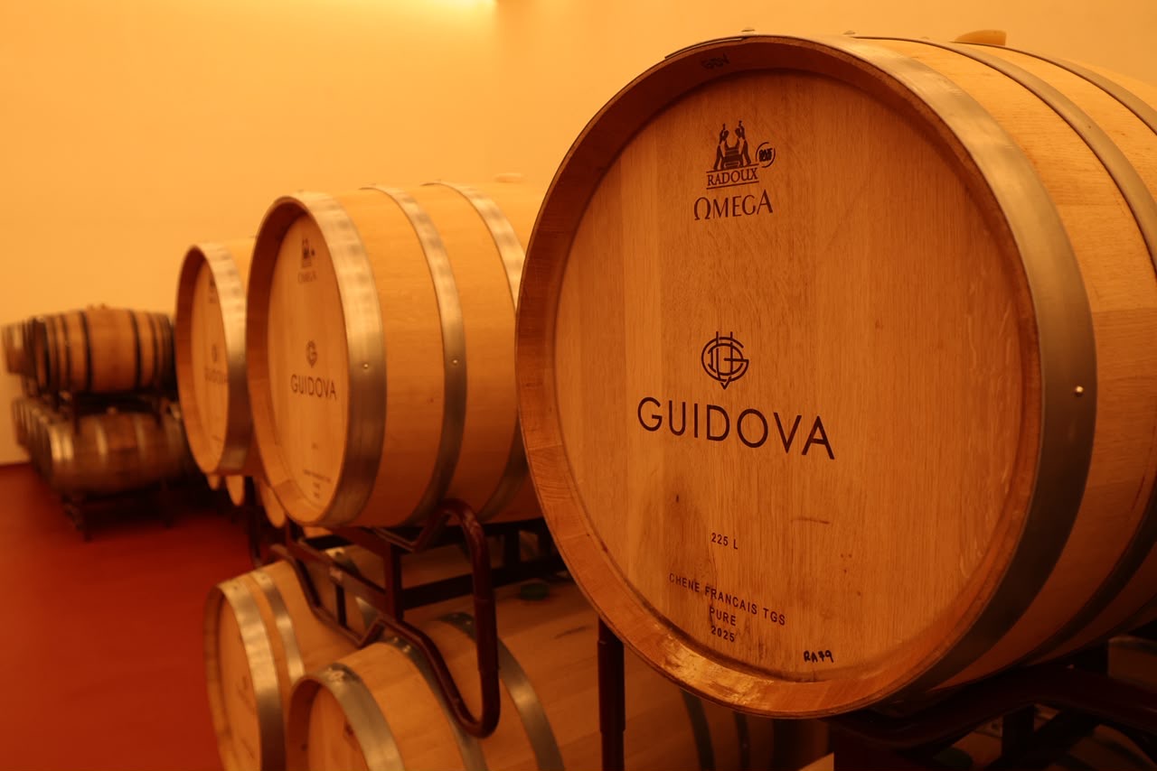 FORTALECEN LA RUTA VINOS Y DINOS