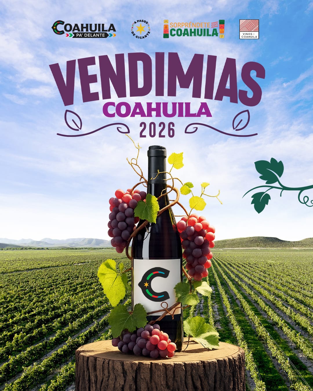 INICIAN LAS VENDIMIAS 2026