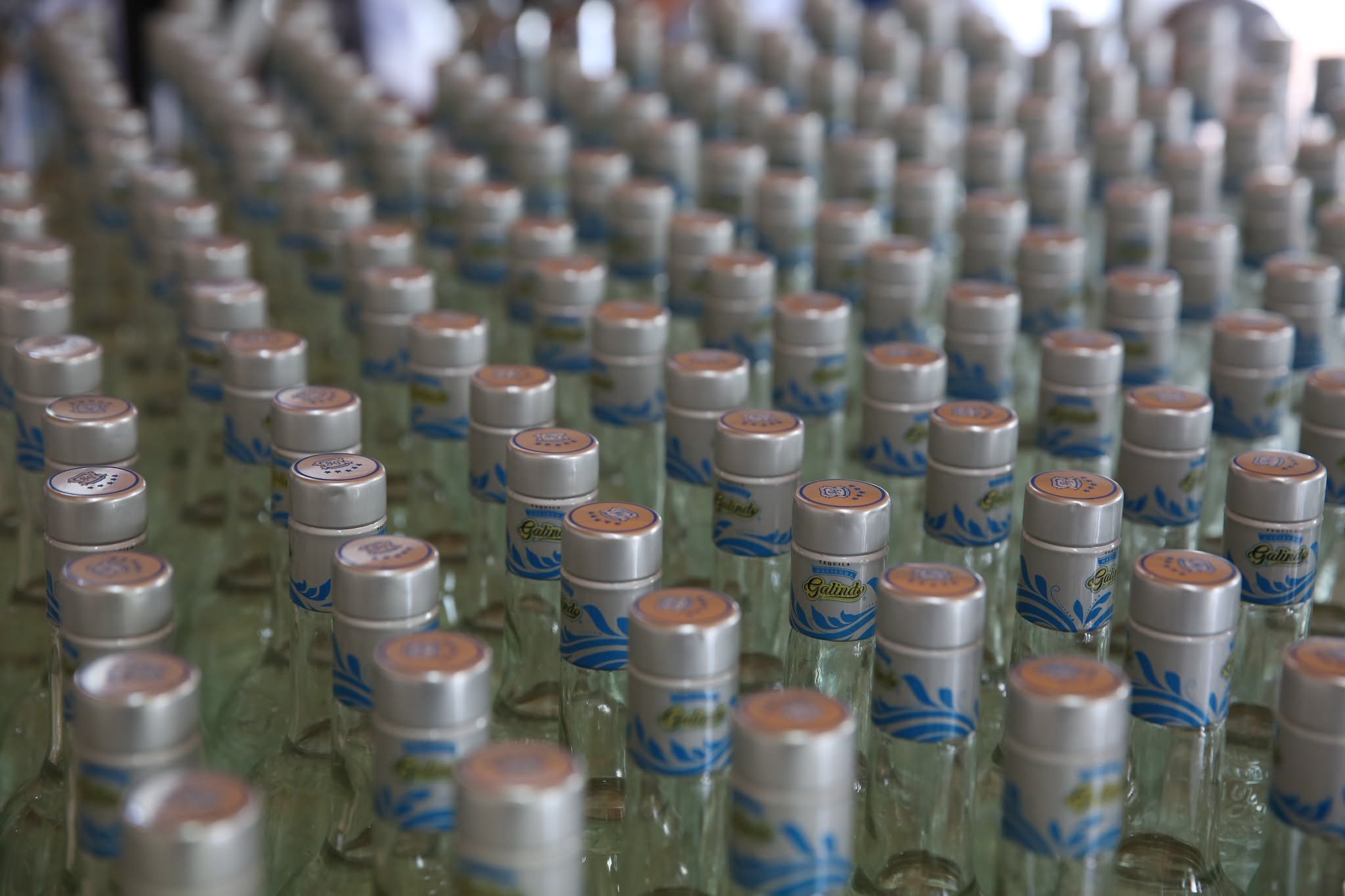Tequila mexicano conquista los mercados globales