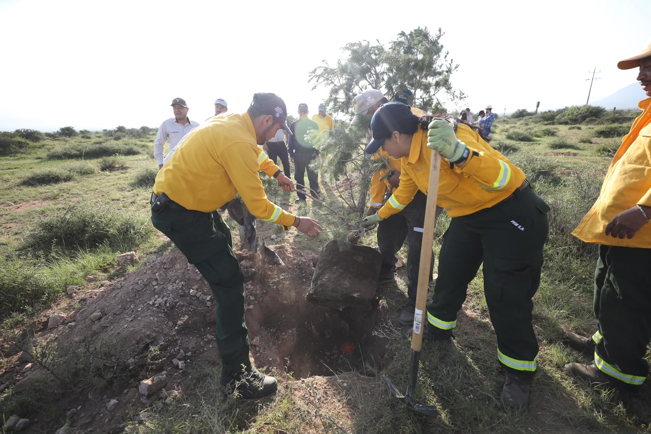 COAHUILA FORTALECE ACCIONES PARA LA RESTAURACIÓN Y PROTECCIÓN DE SUS ECOSISTEMAS