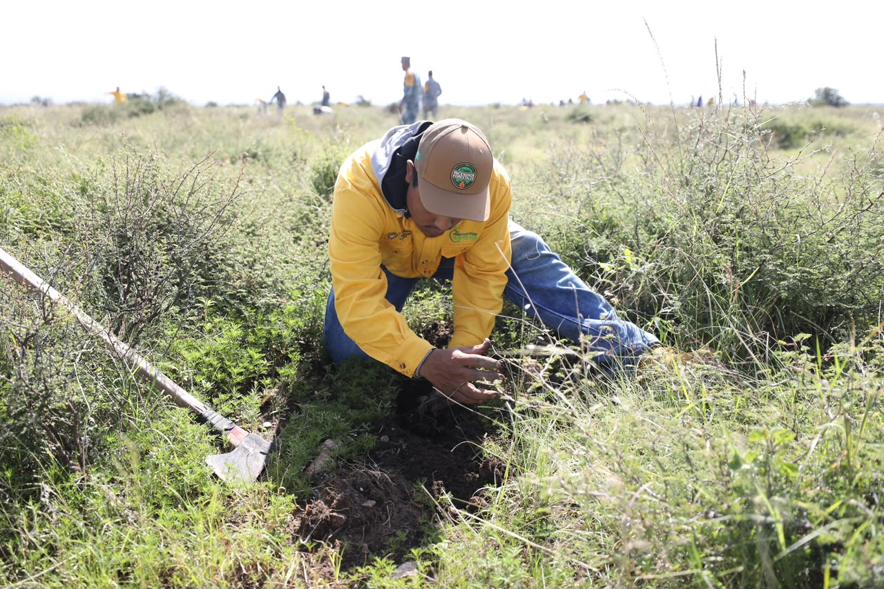 COAHUILA FORTALECE ACCIONES PARA LA RESTAURACIÓN Y PROTECCIÓN DE SUS ECOSISTEMAS