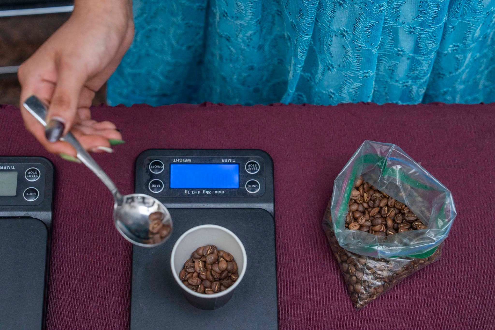 Impulsan el café de especialidad y el comercio directo con la Convención del Café Oaxaqueño 2026