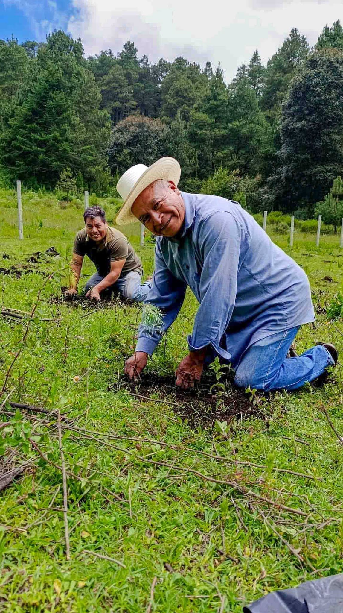 Llama AGRICULTURA a participar en la Jornada Nacional de Reforestación 2026