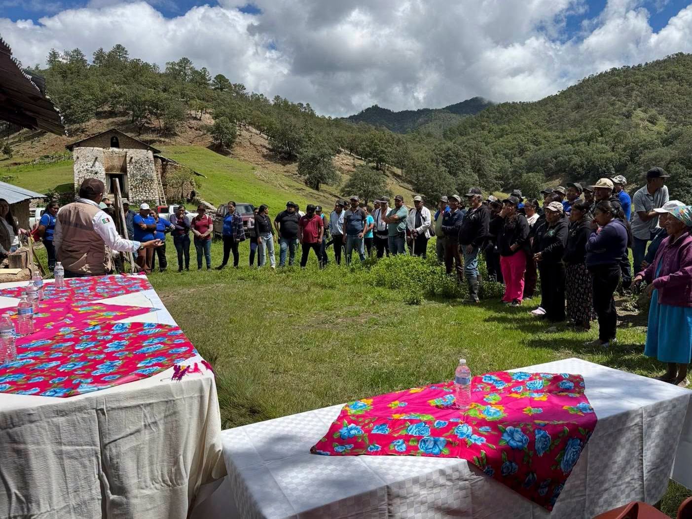 Llama AGRICULTURA a participar en la Jornada Nacional de Reforestación 2026