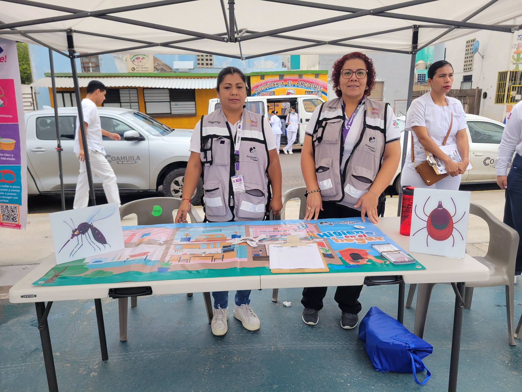 Implementan acciones contra la rickettsia y dengue