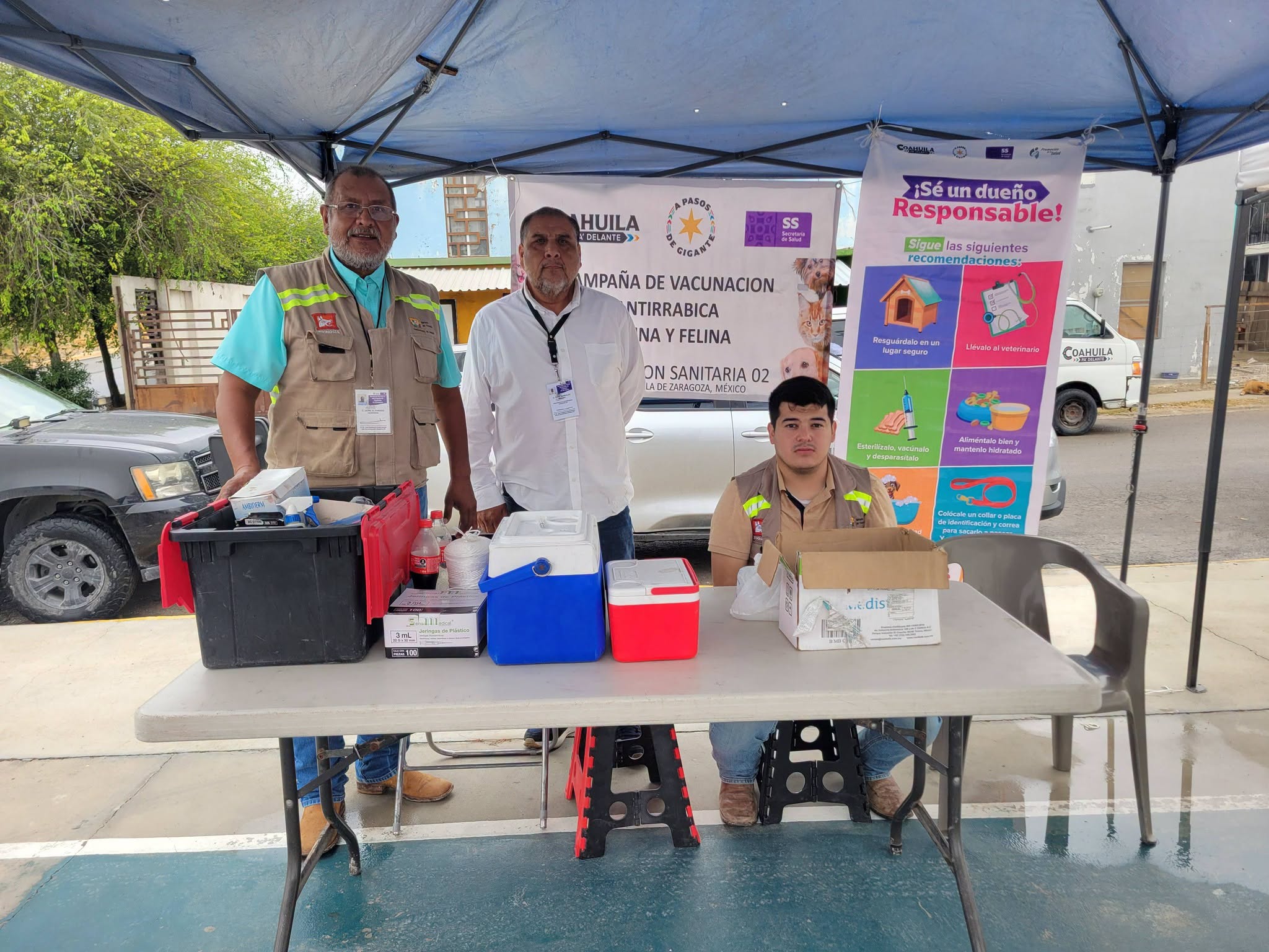 Implementan acciones contra la rickettsia y dengue