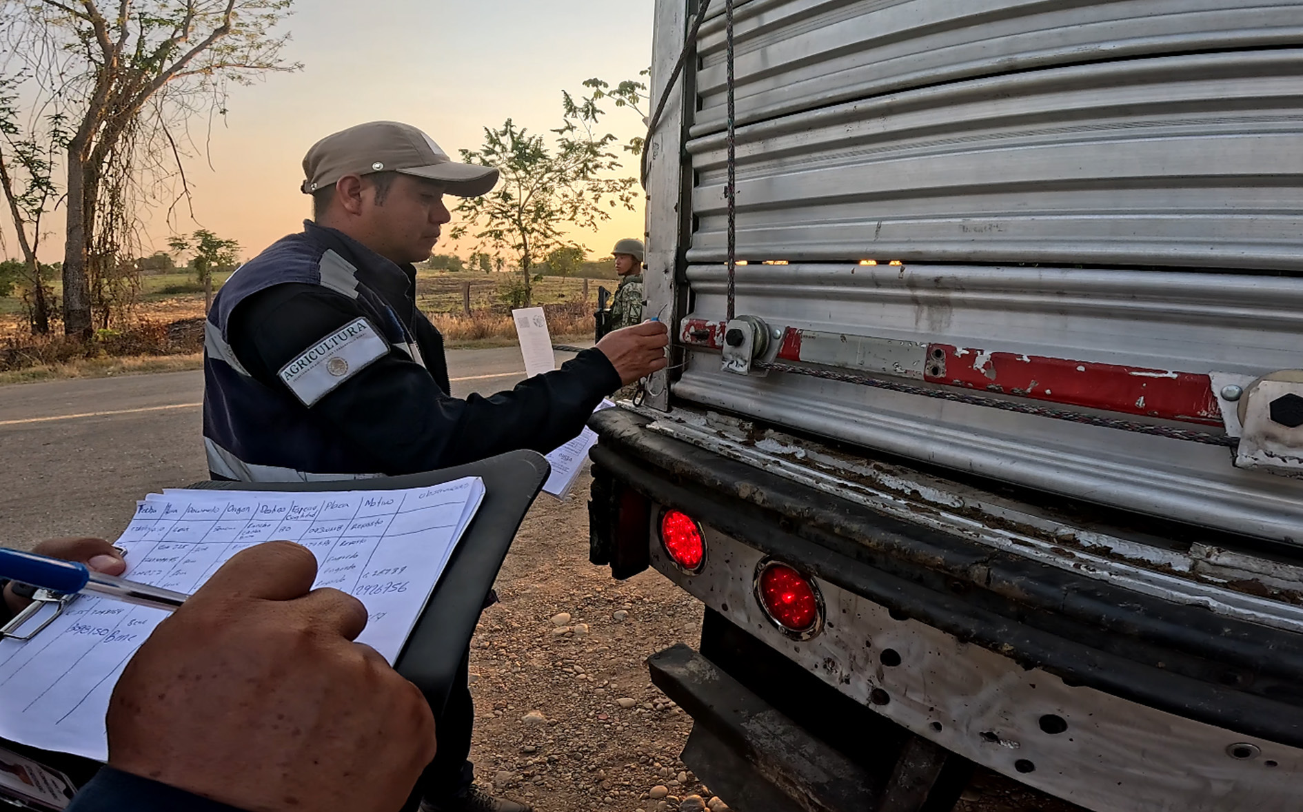 Inspecciona AGRICULTURA más de 80 mil cargamentos y 5 millones de cabezas de ganado contra el GBG