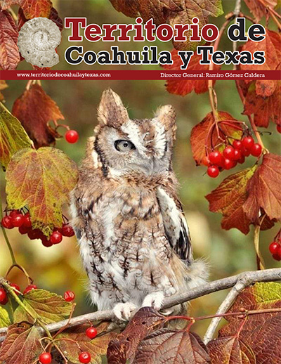 Portada Territorio de Coahuila y Texas #196